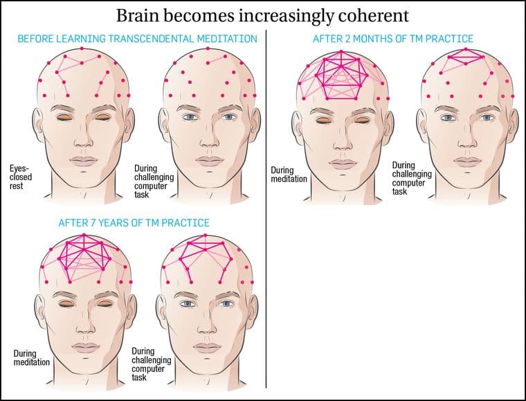 EEG brain coherence chart showing integrated brain functioning during Transcendental Meditation
